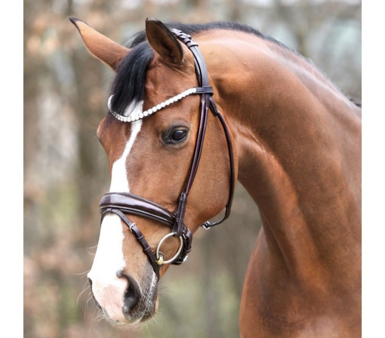 Picture for category Bridles